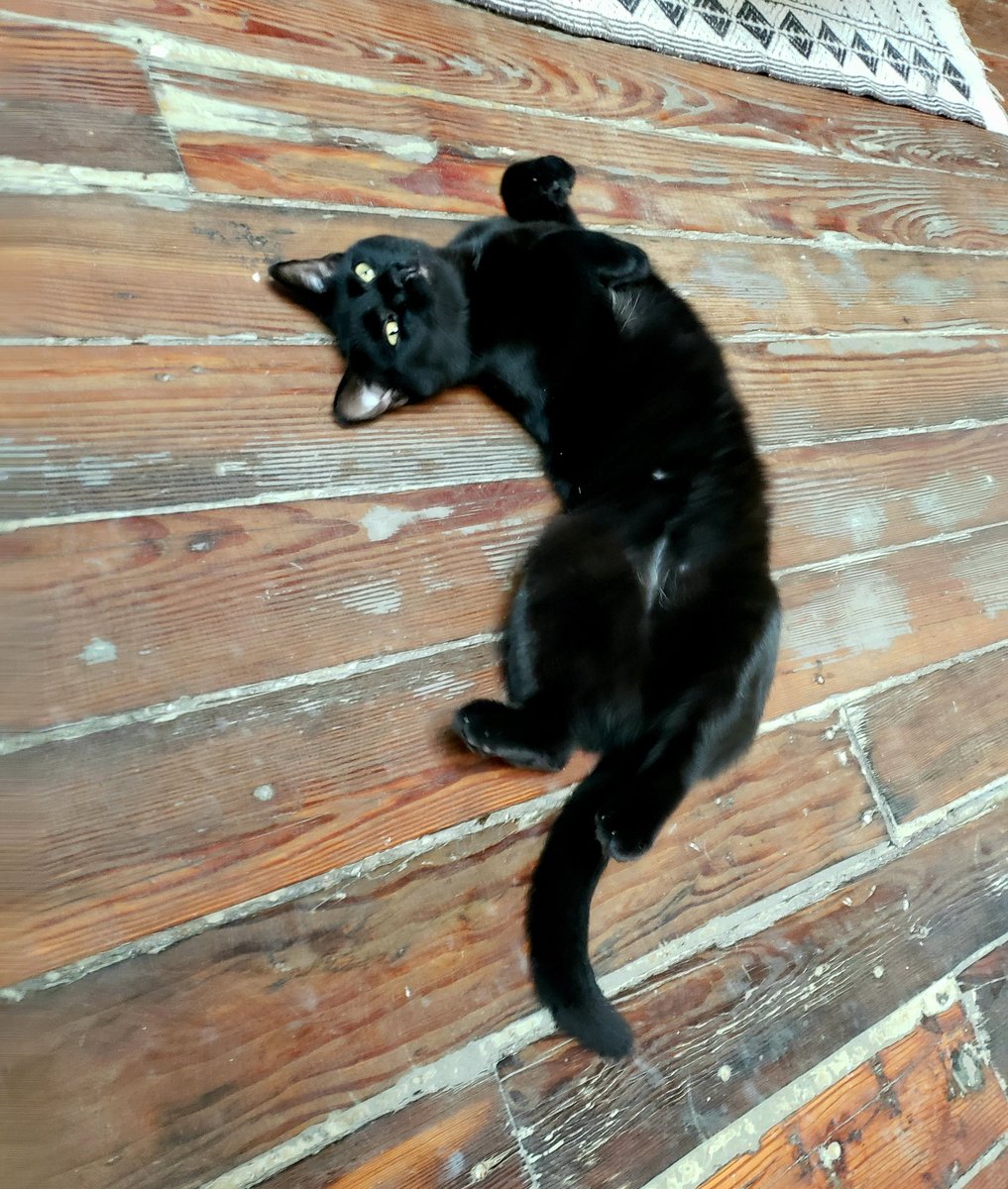 She's a year old tomorrow!