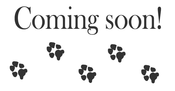 highlandvet's tweet photo. On Friday 09/20/2019 between 12:30-1:30pm our office will be closed for special team wide training regarding the launch of an exclusive, cutting edge treatment for pets!  We are excited about this roll-out and will have more information on this amazing treatment! https://t.co/R3u5b8ZHJf