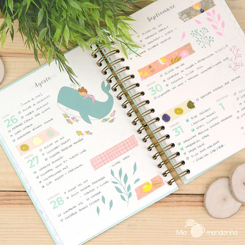 ¿Qué puntos debemos tener en cuenta para decorar nuestra casa y no arruinarnos de por vida?

1º PLANIFICA. Establece un presupuesto general para toda la casa, y después lo dividimos por cada estancia que queramos decorar.

¿Más? ow.ly/kpBB50wgW0M

#decoideas  #comodecorar