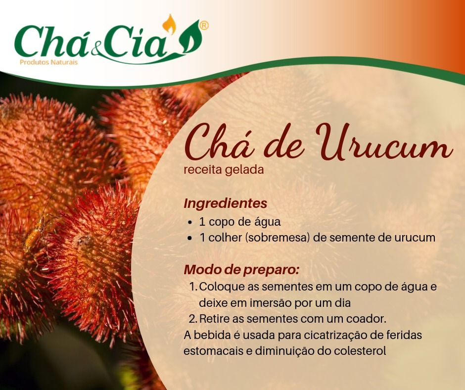 lojachaecia's tweet photo. Que tal uma receita pra lá de saudável? 
Confira! 
👉 https://t.co/Wr01BBHEkF
#receitadodia #saúdeemfoco #saúdeebemestar #saúde #urucum https://t.co/ZeFWzYFsvU