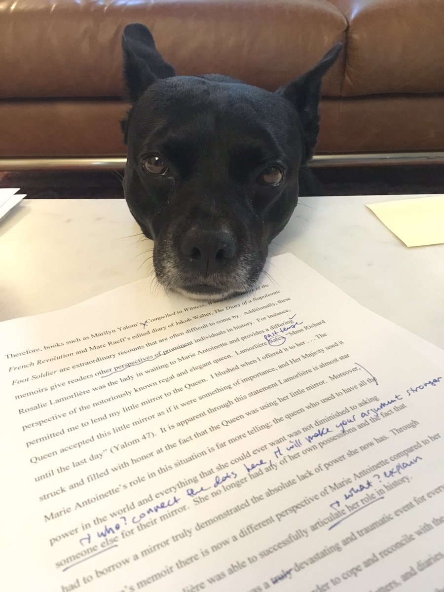 cosmopolitanK9's tweet photo. I REALLY hate grading https://t.co/ohVnC642Tg