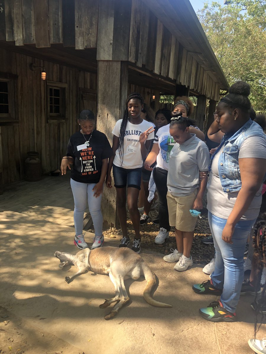 MrsJordanSMS's tweet photo. Had such a great time at @NashvilleZoo today!! It was such a beautiful, sunny day to learn! We wish we could’ve stayed all day!! 🦒🦘🐅@StratfordSTEMLC @magnet_stem @MNPS_STEAM https://t.co/gMAayXZZRm