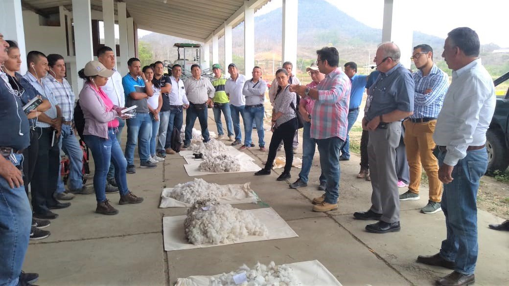 FAOEcuador's tweet photo. @empaergovpb @AgriculturaEc @AgriculturaMAN @FAOBrasilCoop @ABCgovBr @EmbajadaEcuBRA Como parte de esa misión internacional, el Ministerio de @AgriculturaEc contará con una propuesta de plan de manejo agrícola sostenible del #algodón elaborada para las unidades técnicas demostrativas establecidas a nivel nacional #MásAlgodón 👩🏾‍🌾🌱👨🏽‍🌾 https://t.co/7ptQBHSNzH