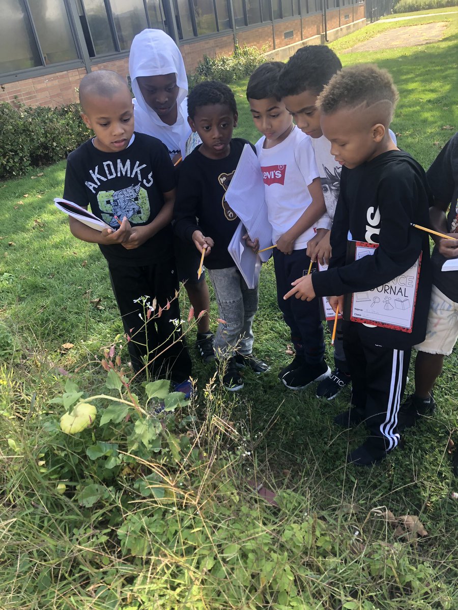 LaurenMaywald's tweet photo. In the summer, our garden looks like this... scientists observe, record, & hypothesize about our #BrooksideGarden #soilunit #2May @UnalKarakas2 #whatsbruininbaldwin https://t.co/8wWHKZBAsu