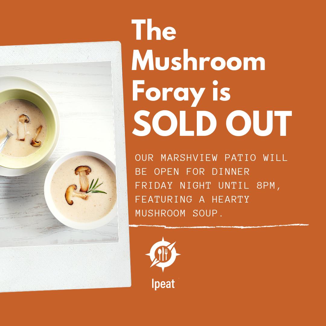 LongPointEcoAdv's tweet photo. Our annual Mushroom Foray dinner event is sold out this Saturday!! o honour our love for mushrooms, Chef Shelli has prepared a hearty mushroom soup to feature in the Marshview this weekend. We will be open for dinner until 8pm. #lpfun #marshviewpatio #foodie #mushroomsoup https://t.co/bkdlmp7UIy