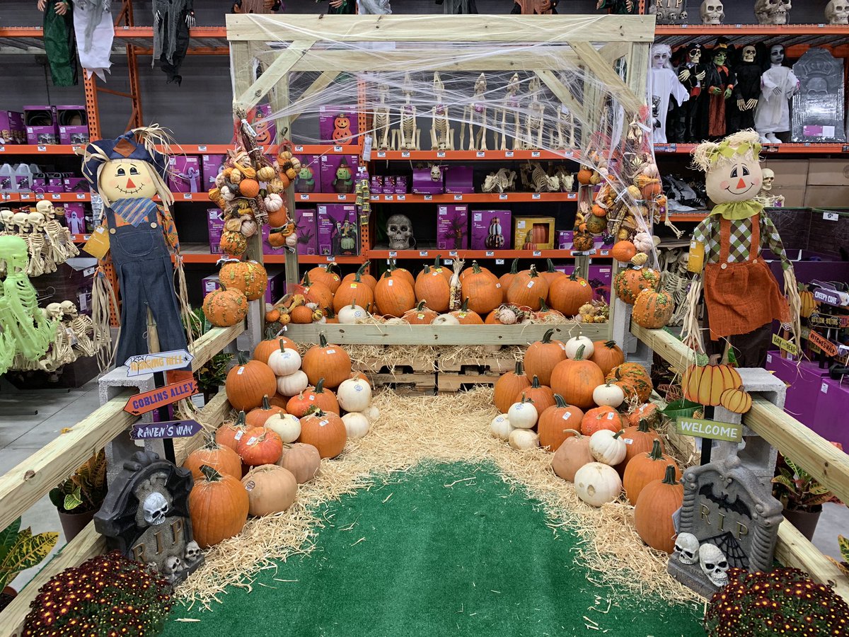 Ginger Hanson tweet media