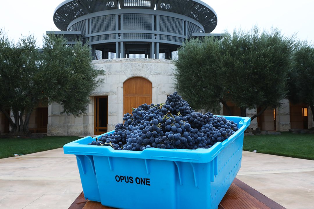 Continuing our tradition of honoring the arrival of this year’s fruit. #harvest2019 #napavalley #vineyards #fruit #grapes #opusone #opusonemoments