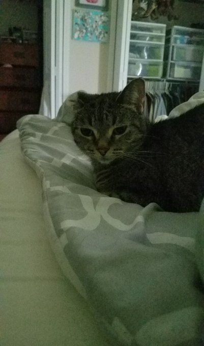 Snuggle baby https://t.co/VkwbwhT2GV<a href="/tag/desires"class="tags"><span>#desires</span></a>