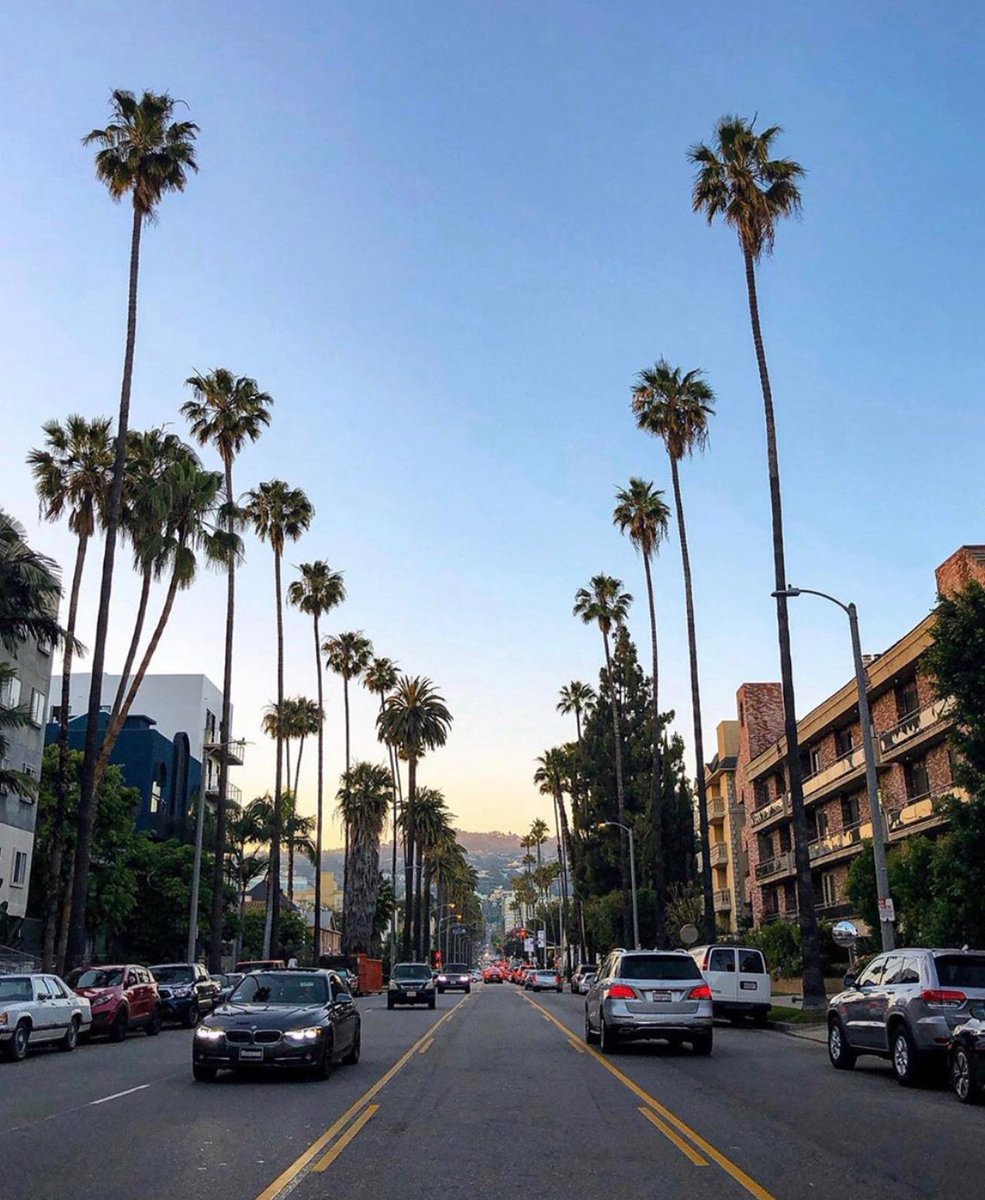 ack_nyc's tweet photo. Hey LA! ❤️
Love you 🥰 
#working https://t.co/13iV1fMkWI