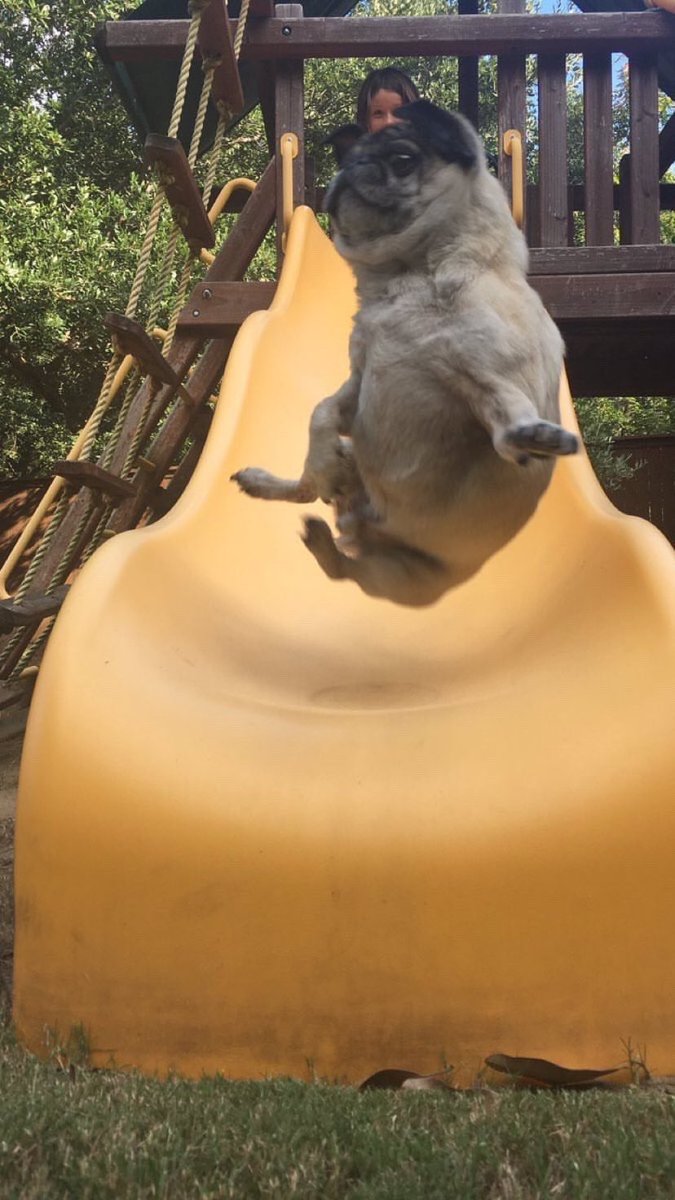 soueunavida's tweet photo. Eu em 2019... https://t.co/EeZg0XjTLM