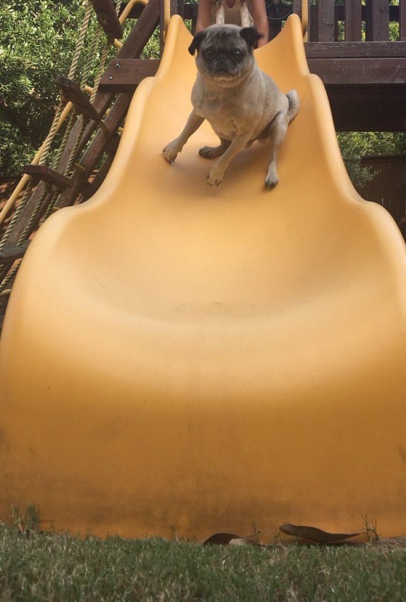 soueunavida's tweet photo. Eu em 2019... https://t.co/EeZg0XjTLM