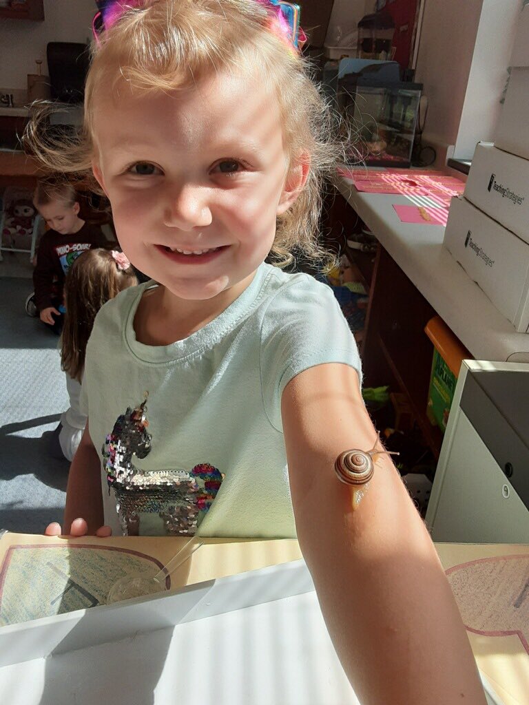 saintadmin's tweet image. Mrs. Health’s kindergarten class had an amazing time investigating snails!! @HollieLovesK @ACSDghosts #studentengagement #KidsDeserveIt #tlap #STEMeducation