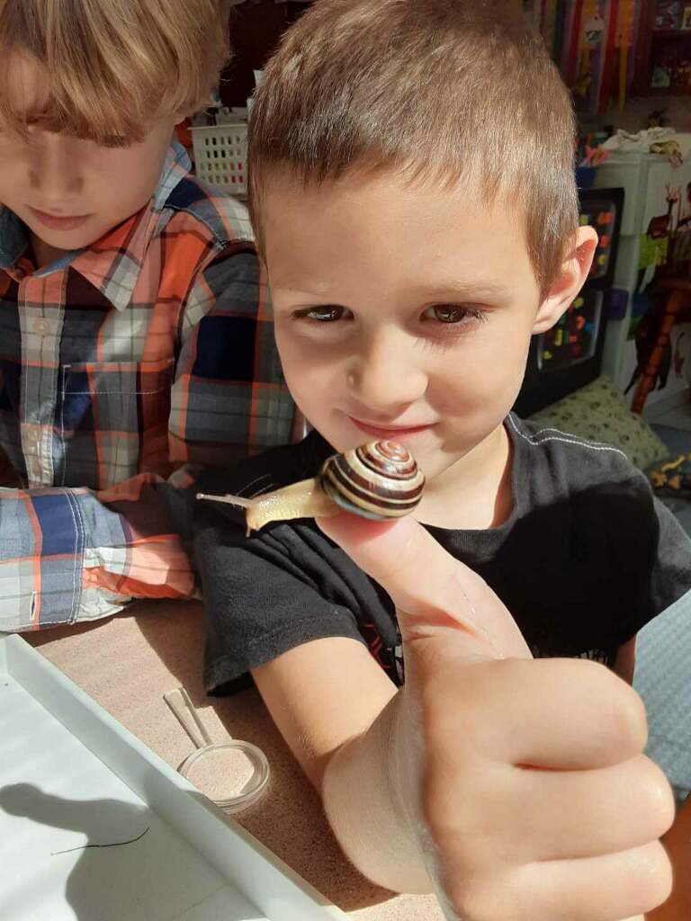 saintadmin's tweet image. Mrs. Health’s kindergarten class had an amazing time investigating snails!! @HollieLovesK @ACSDghosts #studentengagement #KidsDeserveIt #tlap #STEMeducation