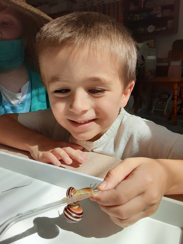 saintadmin's tweet image. Mrs. Health’s kindergarten class had an amazing time investigating snails!! @HollieLovesK @ACSDghosts #studentengagement #KidsDeserveIt #tlap #STEMeducation