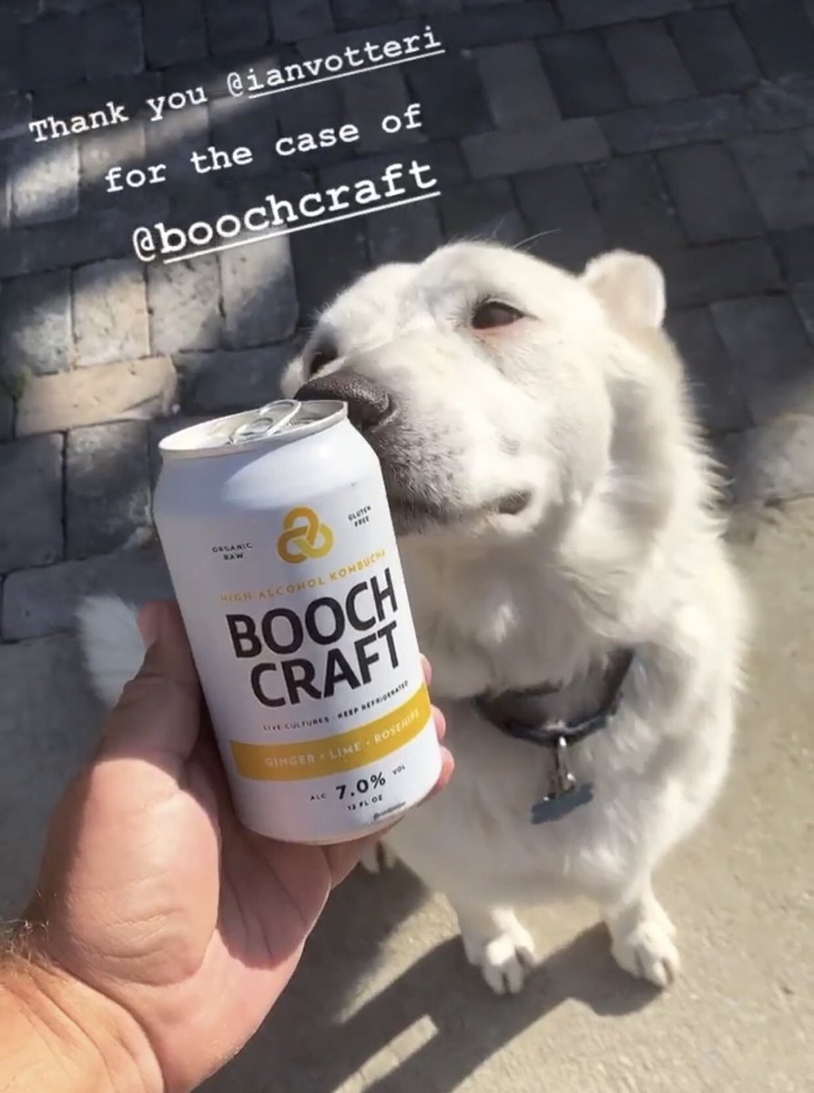 Valerotti's tweet photo. Summer is winding down but there’s still some epic days left in Southern California. Don’t forget to take care of your friends! #September #LocalsSummer #MyDayinLA #BoochCraft #HardKombucha #Kombucha @pascal_shirley @Boochcraft https://t.co/cGb3ZgmkJG