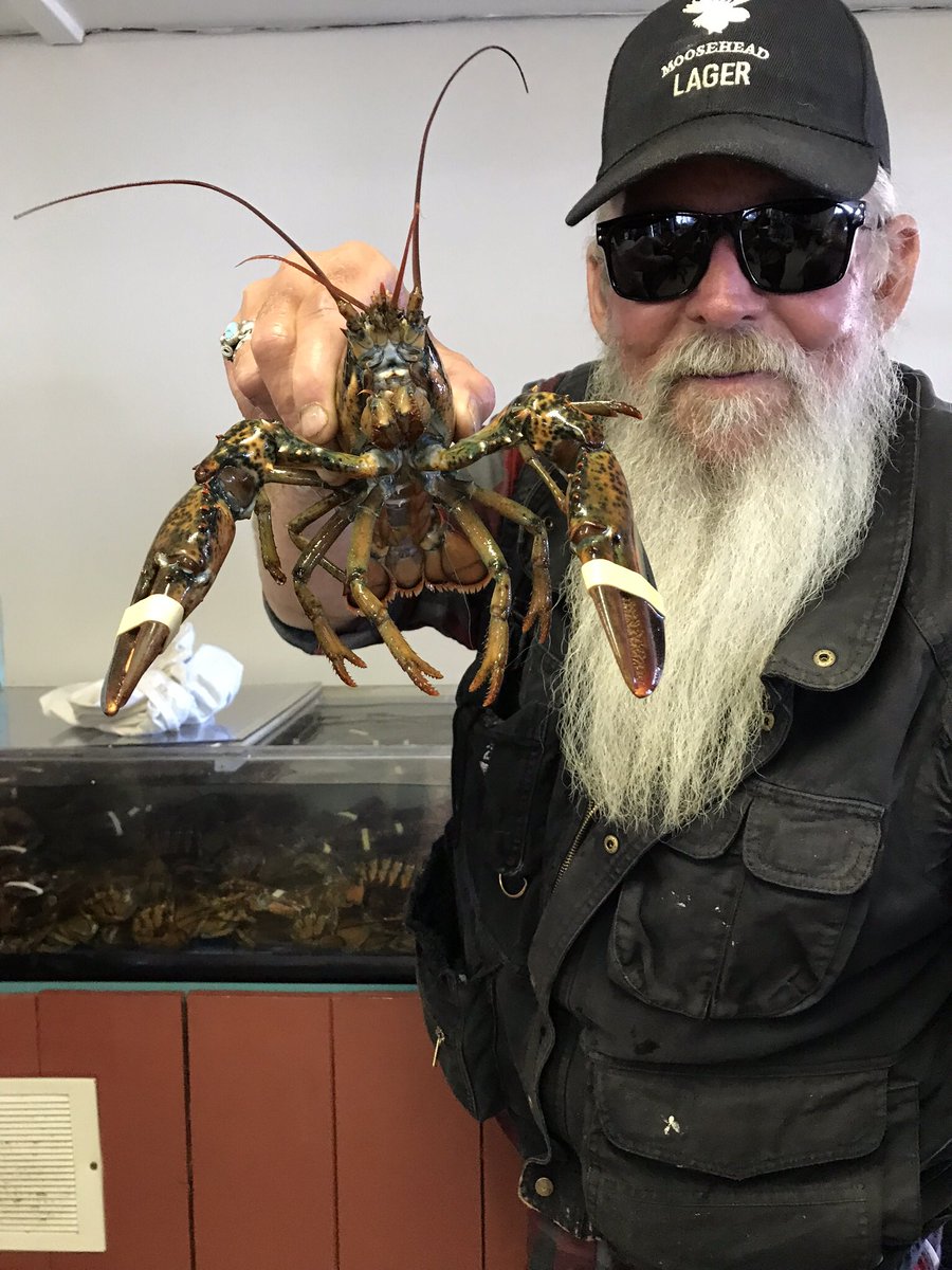 MonikaHomes's tweet photo. This crazy guy made our tour of Saint John and the Bay Of Fundy an absolute blast - thanks Steve! ๐
#besttourguideever #steve #saintjohn #bayoffundy #newbrunswick #newbrunswickcanada https://t.co/NXMzPEnHaV
