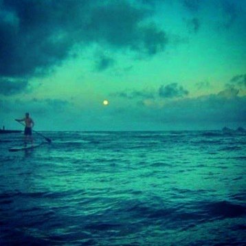VickiYu's tweet photo. ๐ฃ ๐๐ป ๐๐๐โ๏ธ๐
.
.
#VickisMoonPics #fullmoon #husbandsofinstagram #fisherman #shorefishing #moonrise #mokuluas #rabbitisland #supdog #kailuabay #hawaii
#paddlingdogs #SUP #boatwithdogs #dobermanmom #paddleboarddog #standuppaddling #suppaddling #sโฆ https://t.co/FN9tzf1afm https://t.co/5FHaVyMspR