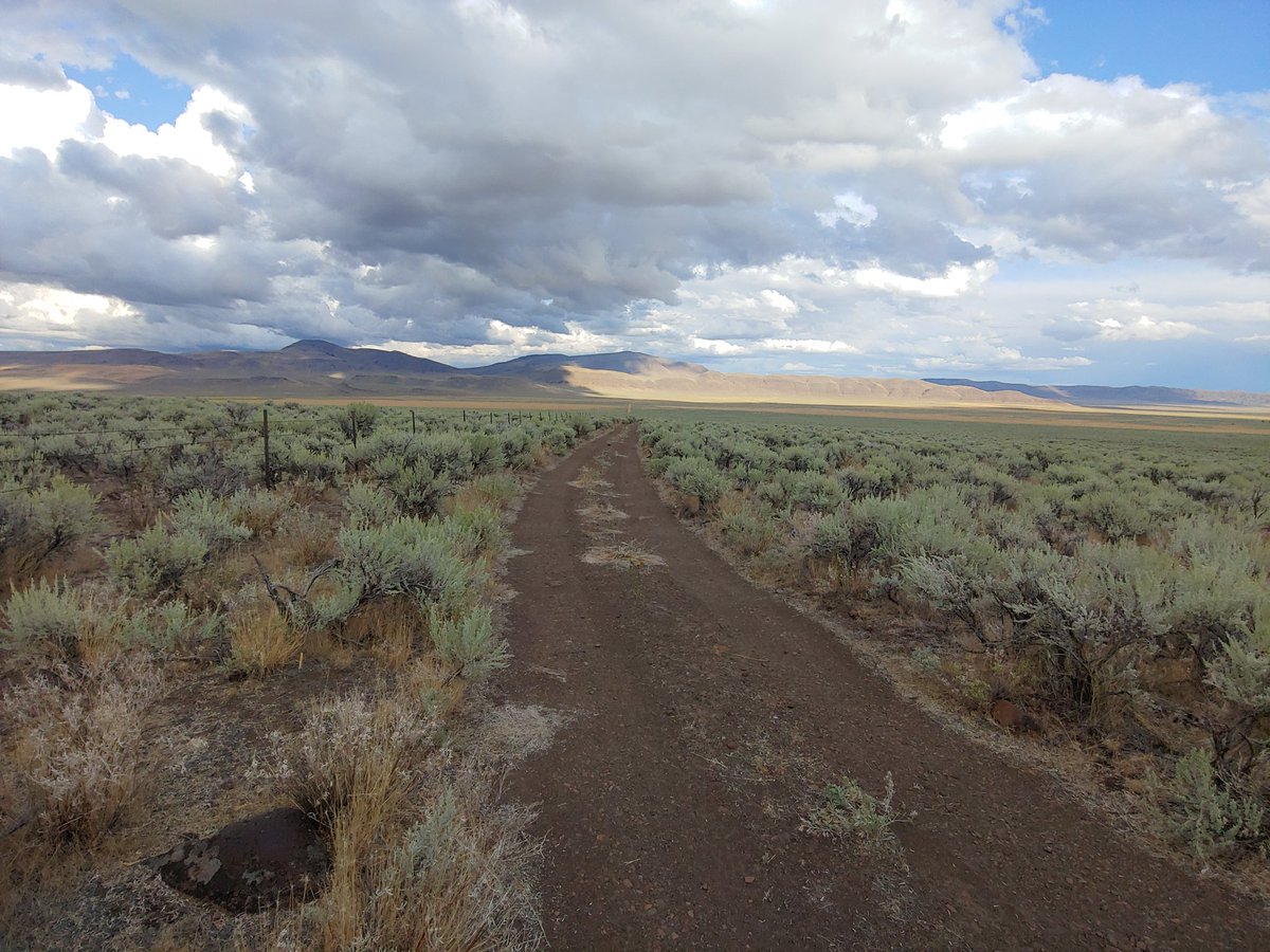 DDauwalter's tweet photo. Just back from the #steens with @TUScience Lahontan cutthroat crew working on a genetic rescue project. Great landscape, cool fish https://t.co/WZ6g75smoY