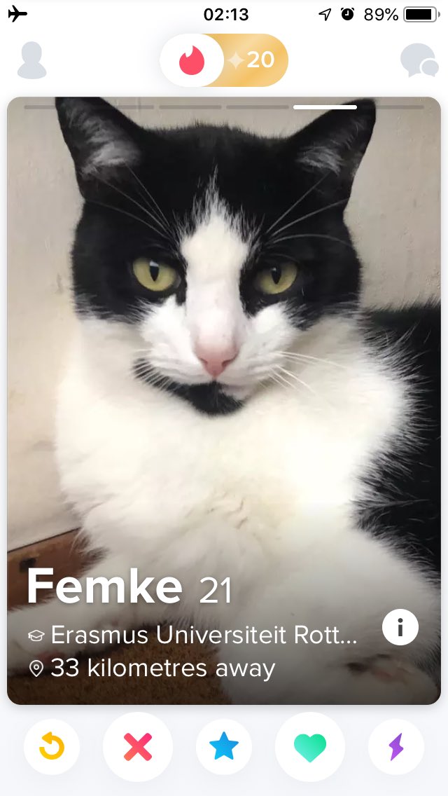 Dating Zoo On Twitter Femke Datingzoo Tinder Dating