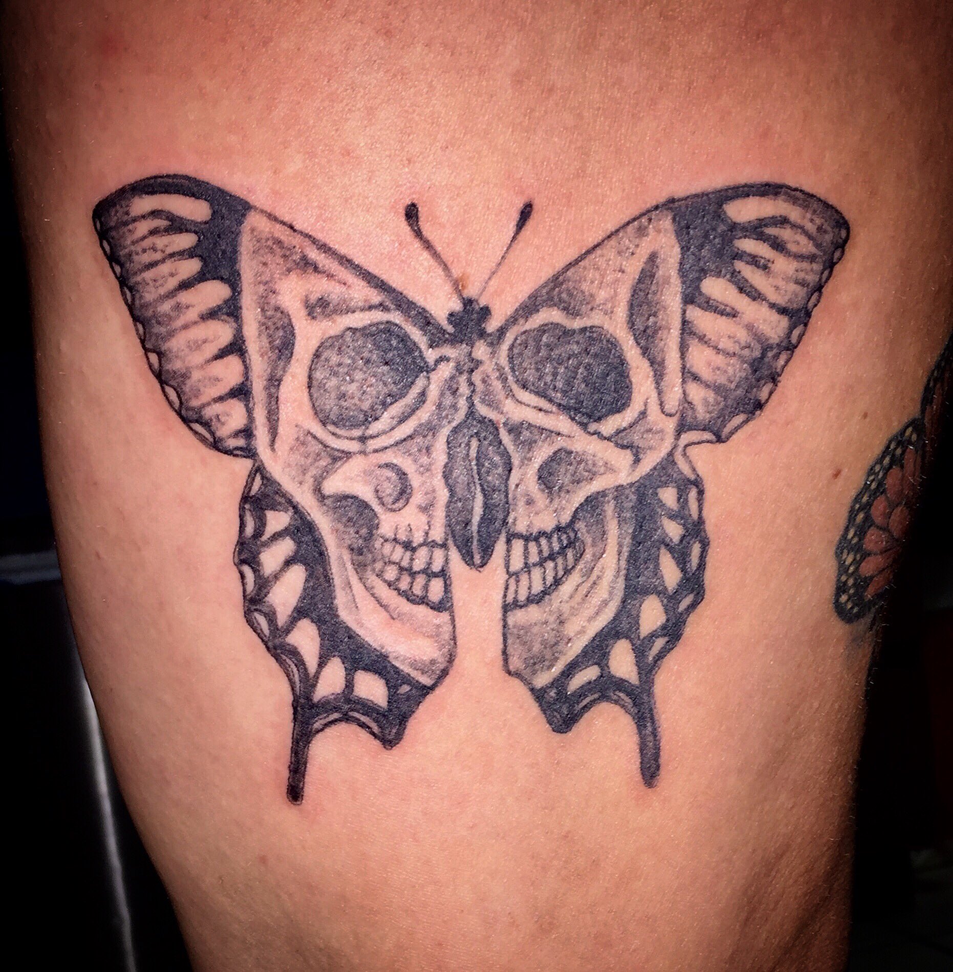Skull and butterfly In love with  DOOM tattoo studio  Facebook