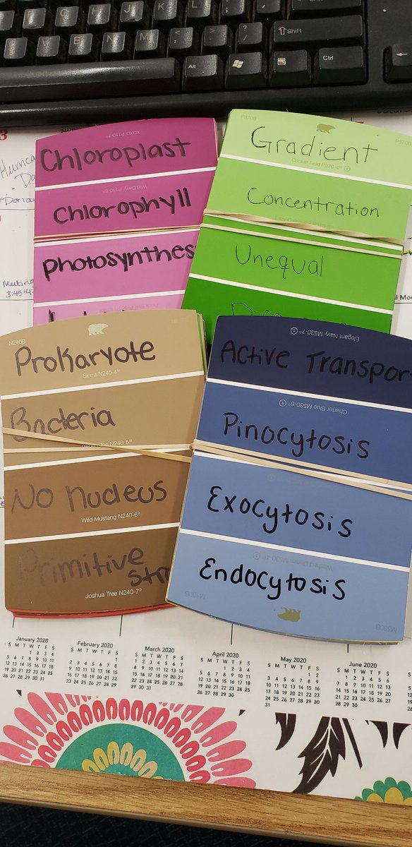 ChemLeto's tweet photo. Student created organelle taboo today! #biology #LetoHighSchool https://t.co/dcQqrcEm44