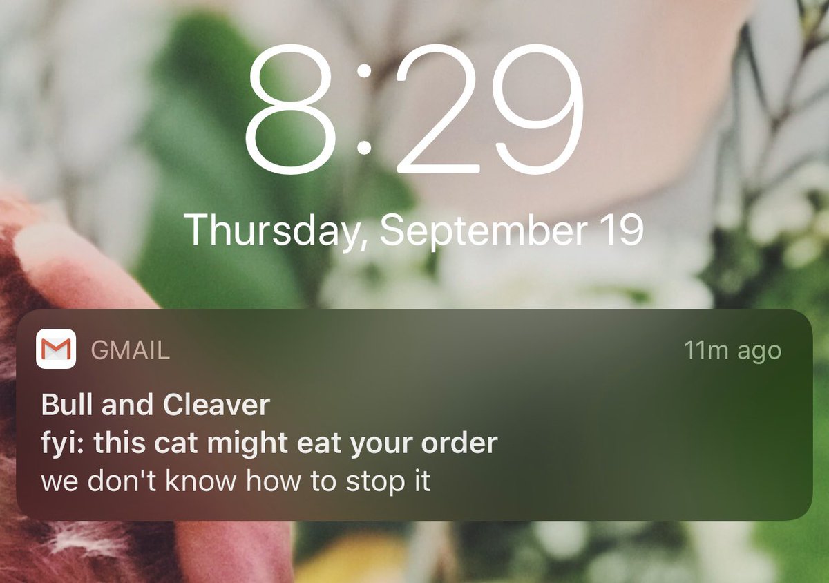 Best abandoned cart email award goes to <a href="/bullandcleaver/">Bull and Cleaver</a>