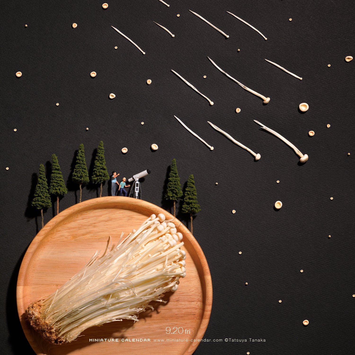 Tatsuya Tanaka 田中達也 流れ星というより流れ胞子 えのき茸 流れ星 Enokimushroom Shootingstar このあとおいしくいただきました T Co Oam3kocgz4 Twitter