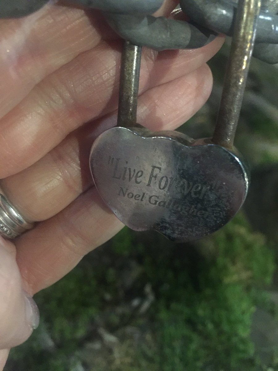 ca55iebennetto's tweet image. Hay @NoelGallagher just so you know!!