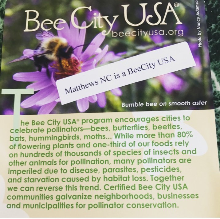 Matthews_Market's tweet photo. It's cool to care about #bees! Special Guests BeeCityUSA will be in the tailgate area on Saturday with its fascinating observation hive. Learn all about how critical bees are to the world's ecosystem. Bee City USA #MCFM #savethebees #pollinators https://t.co/SKbW1WjAoc