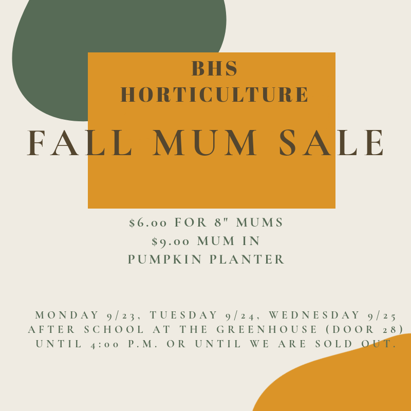Before you start decorating for fall this weekend, consider shopping and supporting the agriculture department next week! <a href="/MrsCarrierBHS/">Candace Carrier</a> <a href="/BburgHSBruins/">Blacksburg High</a> <a href="/BlacksburgFFA/">Blacksburg FFA</a>