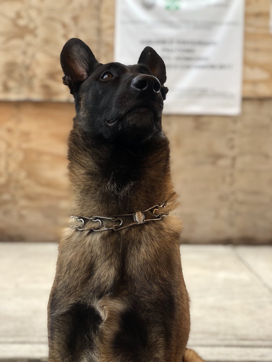 Movimiento Ciudadano Ciudad de México tweet media