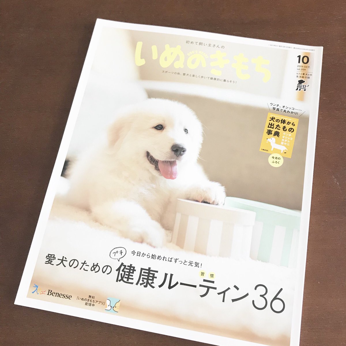 雑誌「いぬのきもち」10月号(ベネッセコーポレーション)犬とお金についての絵を描きました。ありがとうございました。 