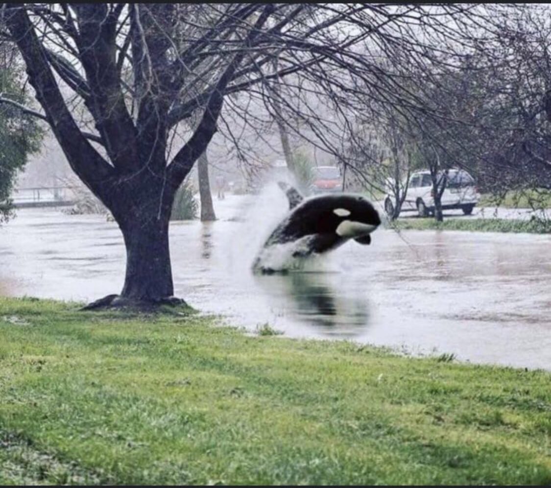 CLASSIC_SPENCER's tweet photo. Mason rd, Katy Tx https://t.co/Cd7veX8iCL