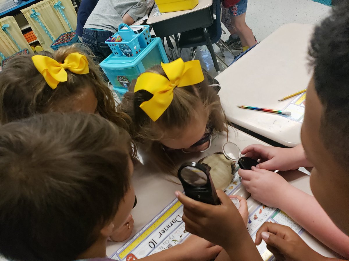 Rhonda H. Shaver tweet media