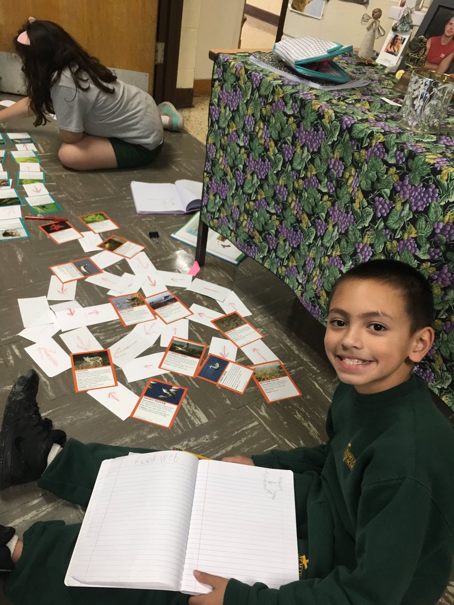 SMSSchool3510's tweet photo. Plant cells and food webs in fourth&amp;fifth grade Science classes with Mrs J. today. Hands-on learning fun! #behumble #besimple #bringjoytoothers #smsfriends @RCDASupt @RCDASchools @EvangelistALB @theAEnews @CathSchoolNews @SienaCollege @csjalbany https://t.co/pH36MYq87J