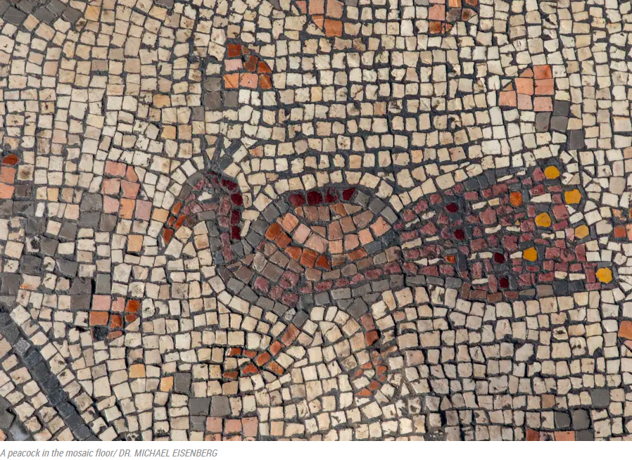 Israeli researches find mosaics with Christian Miracle themes at the Byzantine "Burnt Church" site in Hippos:  bit.ly/2kuPYuX
📷 Article

#archaeology #history #haifauni #mosaic