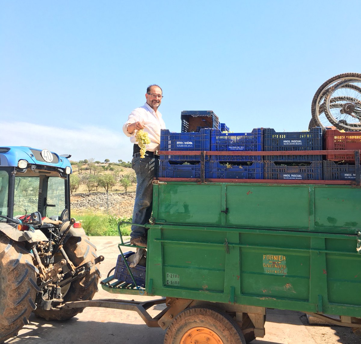 🍇Linda and Richard visiting #Madrid☀️from Chicago enjoyed very much the #Harvest🍀experience near the Spanish capital😎😍
✨
A wonderful way to get to know Spanish grape varieties🍇such as Tempranillo and Airén and #organic viticulture practices🍀#wine #spain #WineLovers