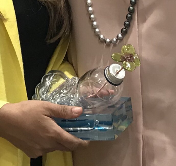 Honoured to represent <a href="/MohamedNasheed/">Mohamed Nasheed</a> &amp; accept the <a href="/Excellence_Mag/">Excellence Magazine</a> Green Night Award for Sustainability in Maldives. Photo with hotelier Sara Rosa, daughter of Franco Rosa, one of the first tour operators to come to the Maldives.