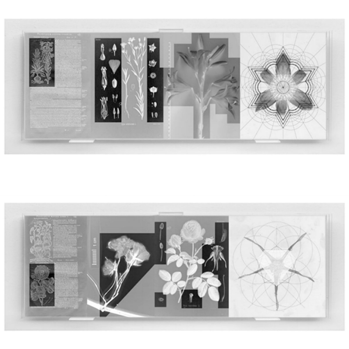 AnnaMorettini's tweet photo. Following the previous post: presenting the works by Michele Guido, one of the five artists shortlisted for the third edition of the AM Prize. 
https://t.co/lNumVeQwTQ https://t.co/C72dQ9PuHx