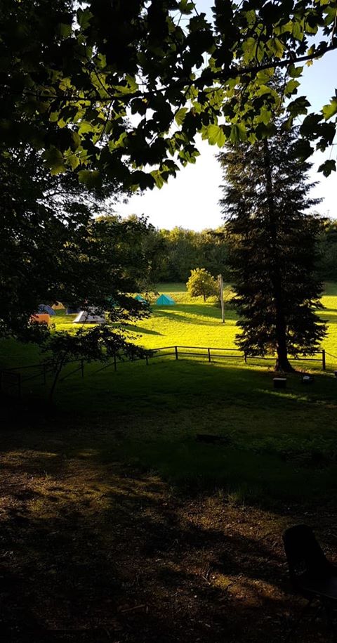 sunscreendreams's tweet photo. RT @BestCamperVan: Sue and Gareth's first campervan trip was to Cub Camp - and the weather was perfect for the beautiful Sussex Campervans Manhattan's maiden voyage. #green_campervan #travel #lifestyle #vanlife #Cubs #Scouts #scout_camp
… https://t.co/LjQGrApGsl