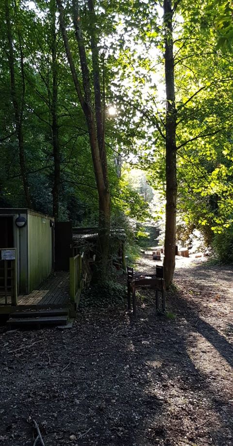 sunscreendreams's tweet photo. RT @BestCamperVan: Sue and Gareth's first campervan trip was to Cub Camp - and the weather was perfect for the beautiful Sussex Campervans Manhattan's maiden voyage. #green_campervan #travel #lifestyle #vanlife #Cubs #Scouts #scout_camp
… https://t.co/LjQGrApGsl
