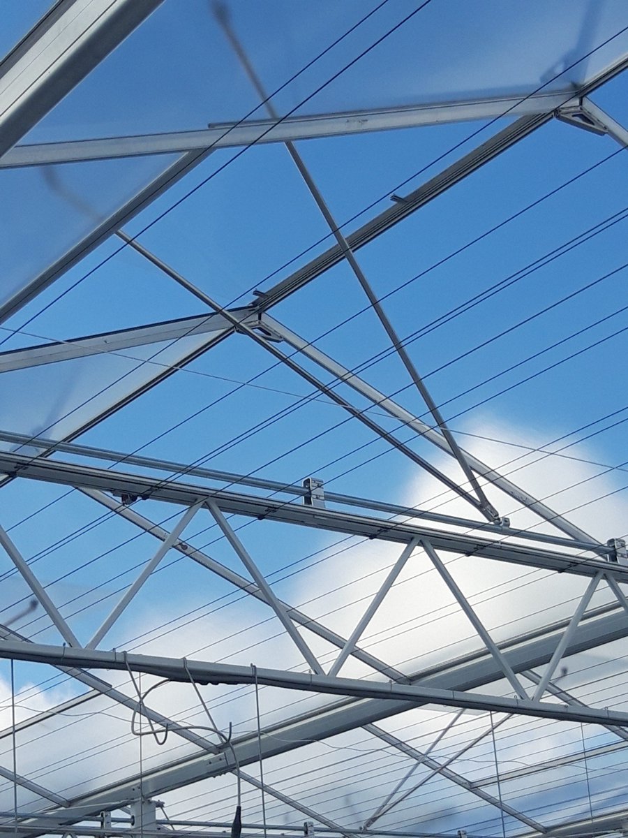 valkhorti's tweet photo. Altijd mooi om het halve #ValkHorti productassortiment op één foto terug te vinden. Lukt het jou om de acht verschillende producten te spotten?
#StabiMax #ValkPlusOpdrukker #Klemrailconsole #Spanbus #Wikkelbus #Klaplagerplaat #Kunststofdraadgeleideblokje #ValkScreenVision. https://t.co/udZHzsgtYo