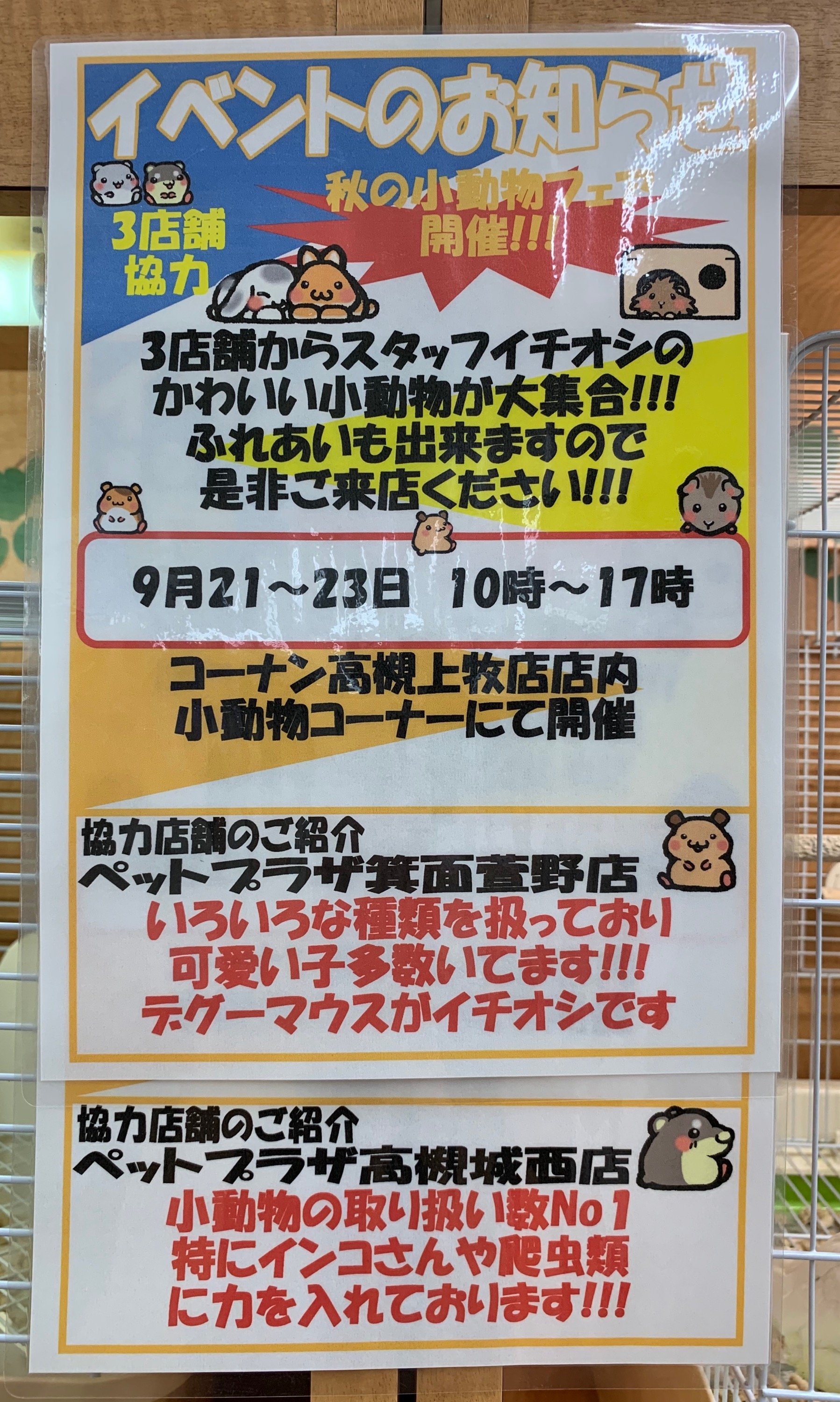 ペットプラザ 高槻上牧店 小動物 アクアリウム Petplaza Kan Twitter