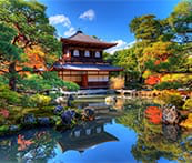 greg_newland_'s tweet photo. I've just completed the puzzle with 80 pieces without rotation in PuzzlePlus app https://t.co/q1Ay4YvOPG #PuzzlePlus https://t.co/QrejuvpDQV