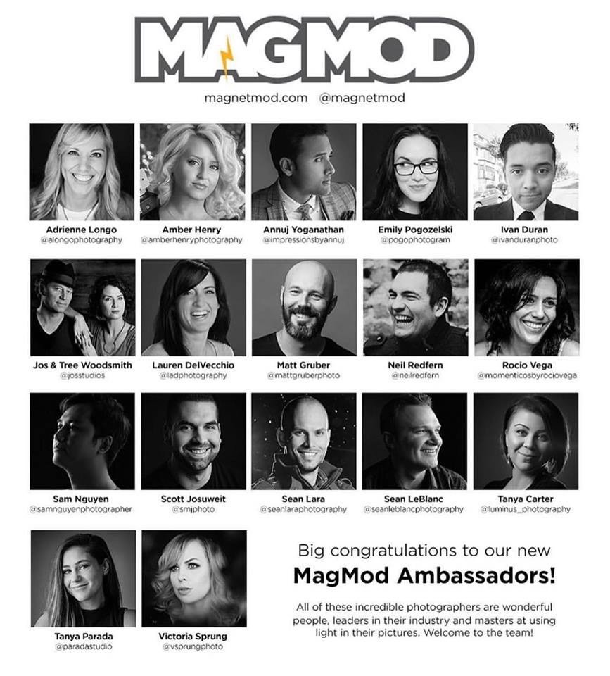sprungphoto's tweet photo. Alright...cat's out of the bag! I am thrilled to announce that I am a #MagMod Ambassador! 😻#madewithmagmod #magmodambassador #photog #photography #photographer #chicagophotographer #offcameralighting #lightingexpert #lightingeducation #photographyeducation https://t.co/HfHPs9aQW6