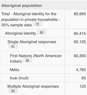 Nish Kwe tweet media