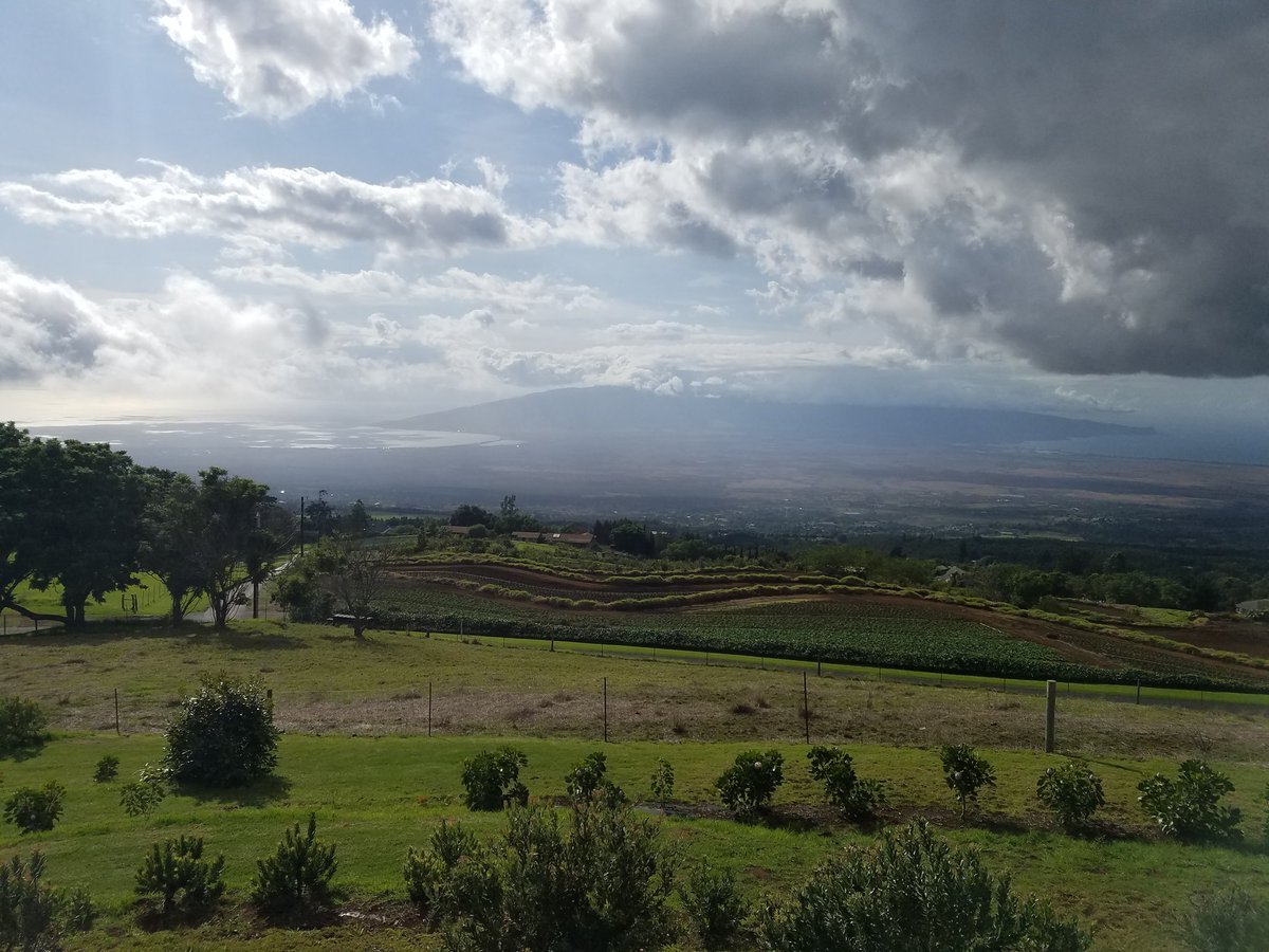 m0therzer0 tweet media