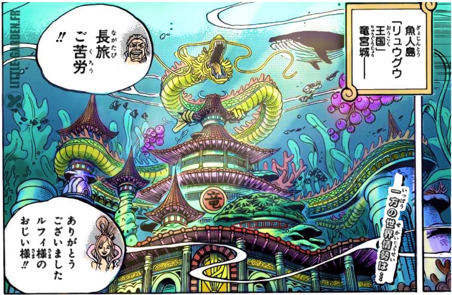 Log ワンピース考察 美しき竜宮城 T Co Klyq2n5e0l