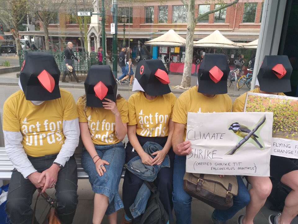 On our way to #climatestrike #melbourneclimatestrike #hoodedplover see you there!