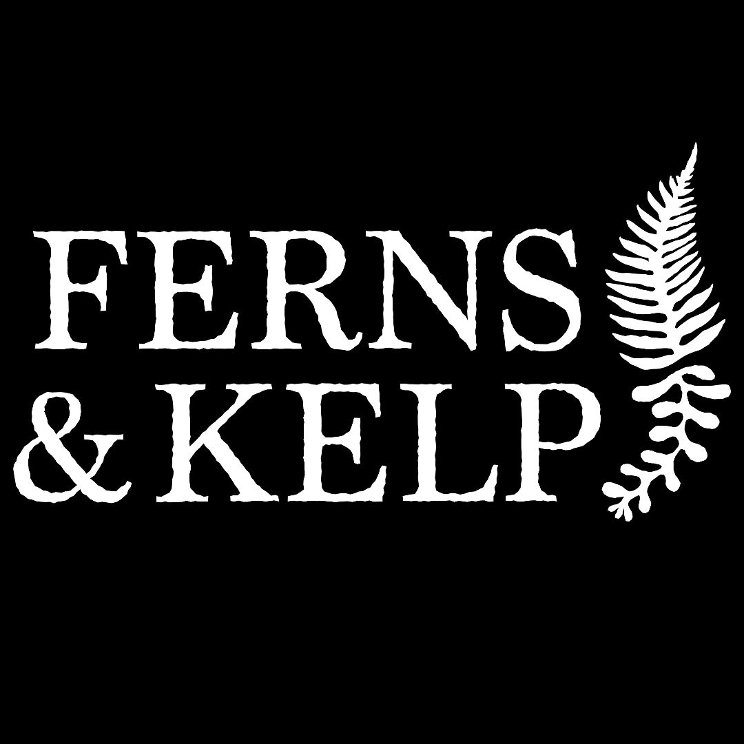 FERNSANDKELP's tweet photo. https://t.co/U6miwLkbRv